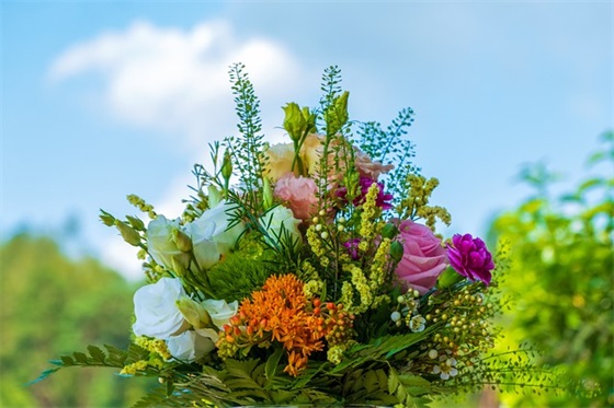 2025年朋友圈祝福语65句