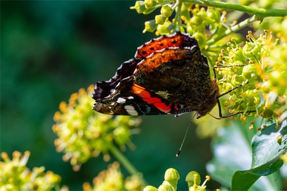 领导高升离别祝福语63句