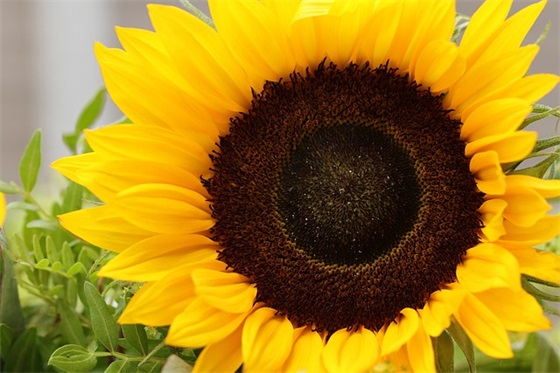 新颖的新婚祝福语54句