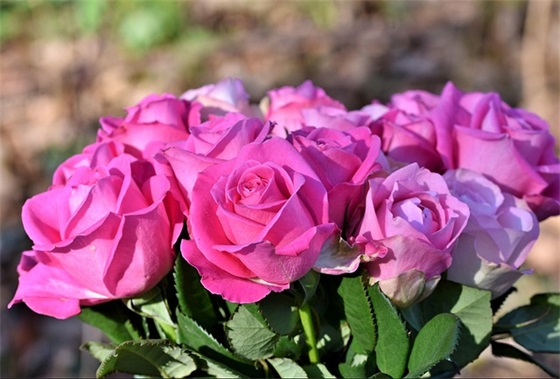 新年给客户的祝福语2025 给客户的祝福语