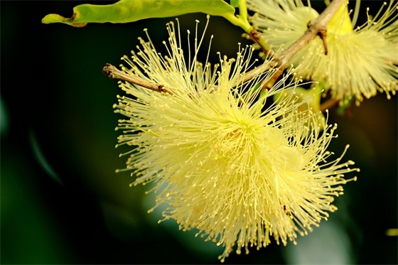妹妹婚礼祝福语 亲妹妹婚礼祝福语