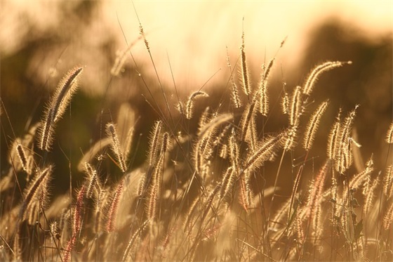 2025年圣诞祝福语55句