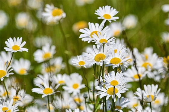 帅哥的生日祝福语54句