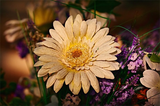 七夕节简单的祝福语2025年精选(90岁大寿祝福语精选)