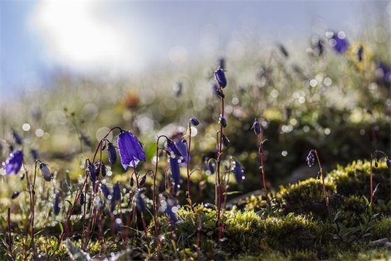 文艺的网名个性女生