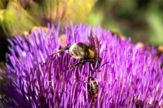 带红字的个性网名