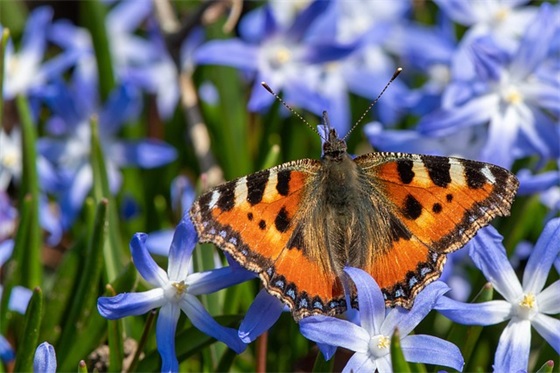 难过的古风网名