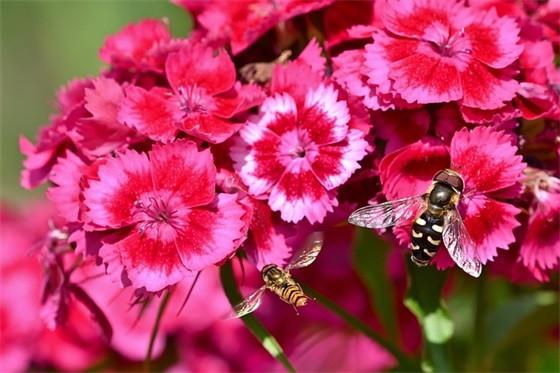 网名设计大全古风