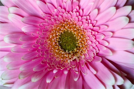 全是女的qq群网名