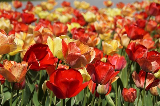 qq淘宝兼职招聘网名