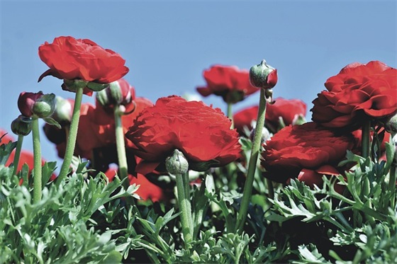 qq网名情侣个性签名