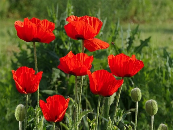 带有杰字的qq网名