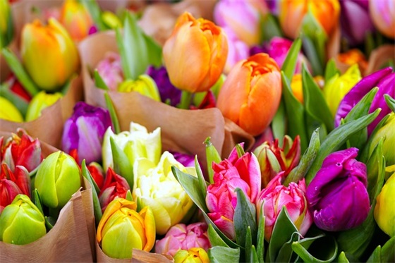 独特简单的网名