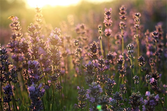 qq网名人生道理