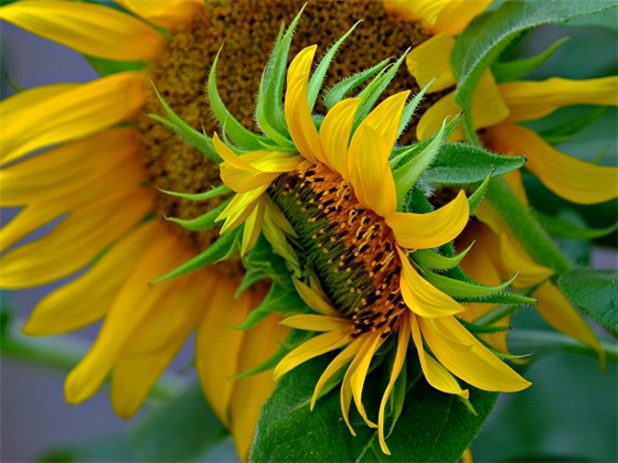 可爱八字网名大全