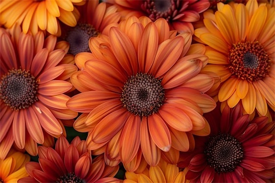 有关姓陈的个性网名