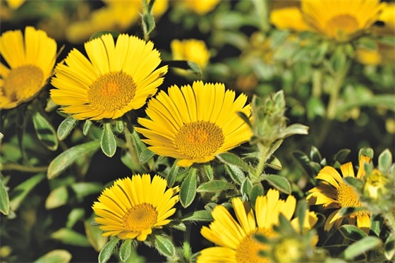 qq历史名字女生网名