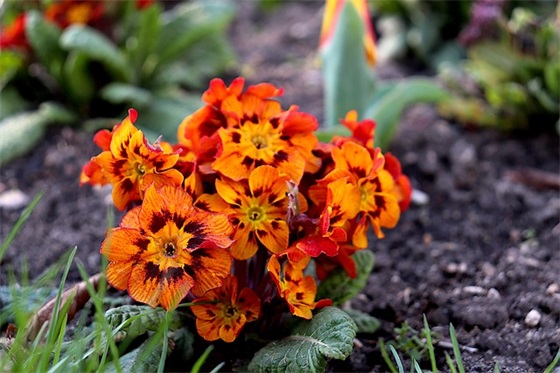 qq网名大全男生阳光