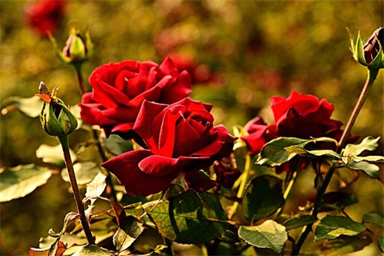 个性气质的网名男生