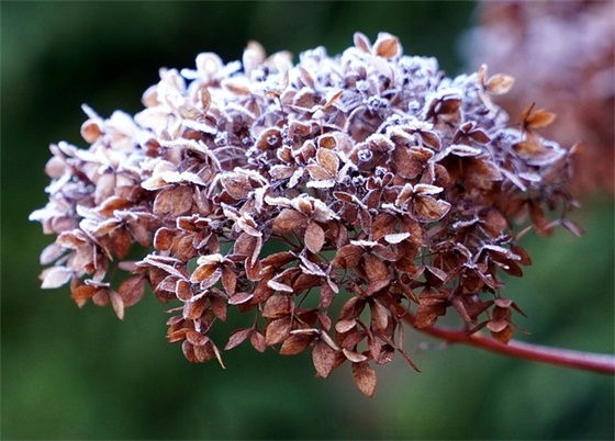 两女一男qq网名大全