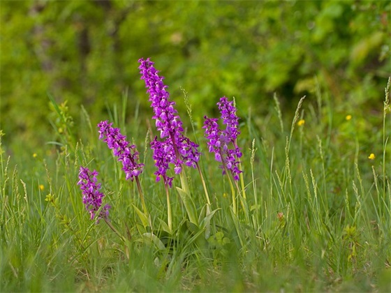 qq繁体字女生网名