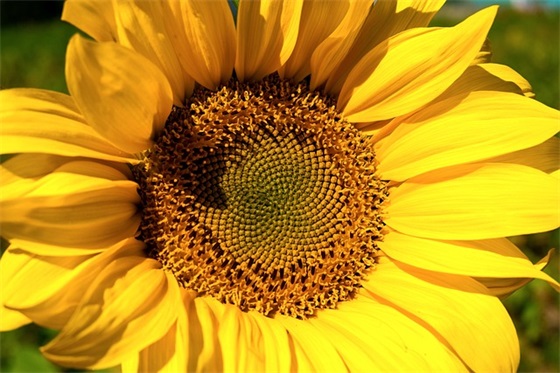 成熟男士个性网名