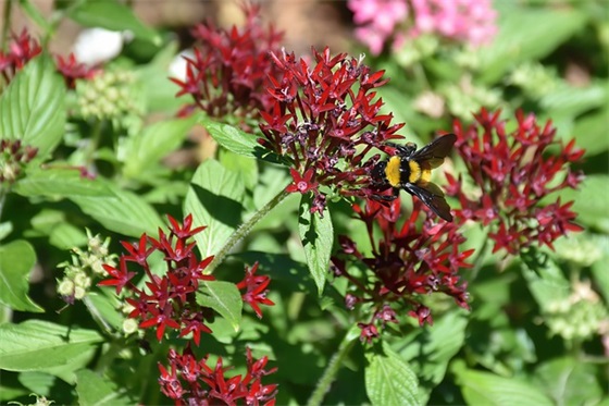 个性花字网名大全