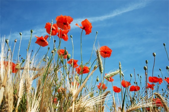 中年男人简单网名大全