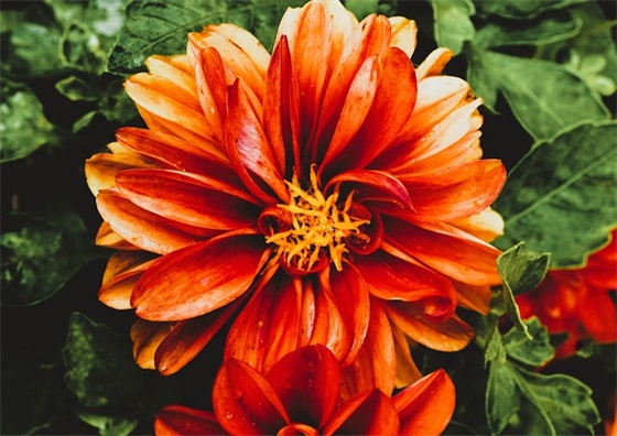 yy个性网名女生