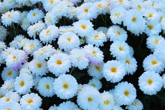 男生带字头像个性网名