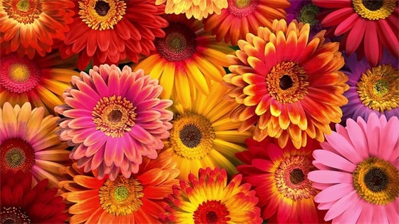 qq个性男生精选网名