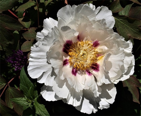 必须报复的句子 暗示要报复的句子