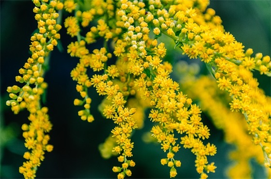 计算机技术教学论文范例6篇