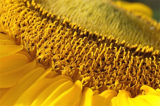 英语听力练习范例6篇