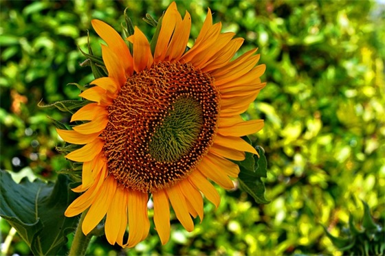 关工委工作汇报范例6篇