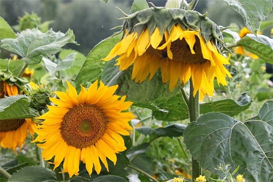 初中物理实验报告范例6篇