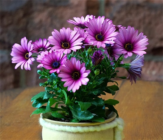 签订劳动合同通知书范例6篇