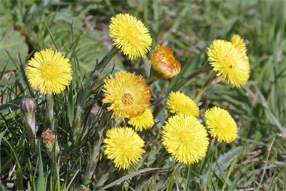 漂流瓶寄语范例6篇