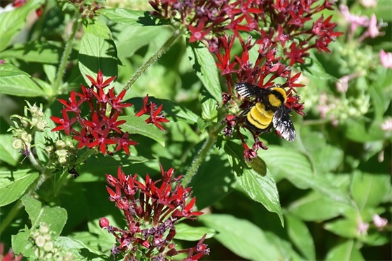 十八大公报范例6篇