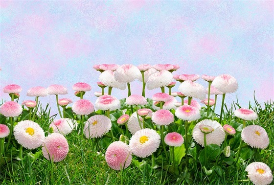 广告词赏析范例6篇