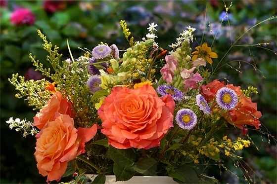 扯淡的青春范例6篇