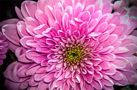 商调函格式范例6篇