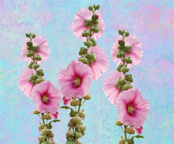 想起了半命题作文范例6篇