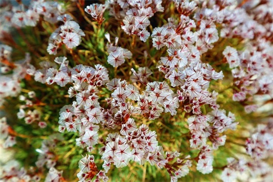 形容阳光的句子