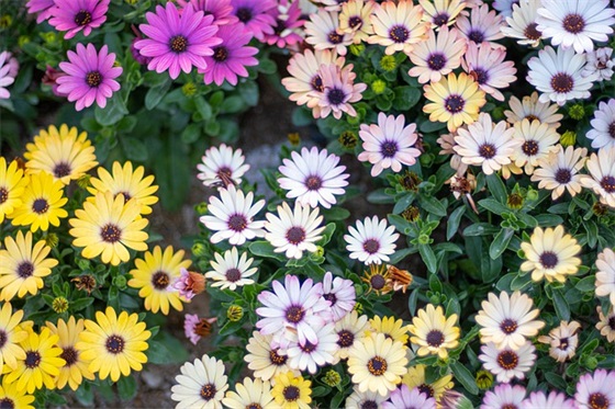 暖男气质的qq网名