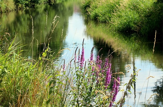 云字开头的古风网名