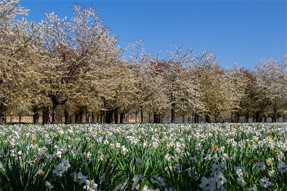 qq群网名同学群