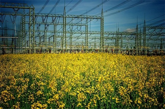 QQ网名关于裙子的