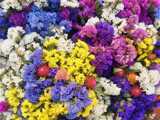 网名两个字可爱女孩版