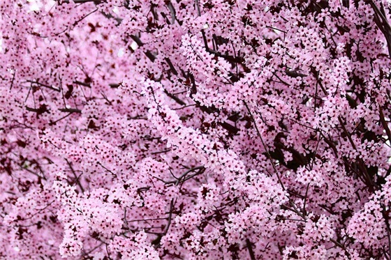 五字网名女生古风